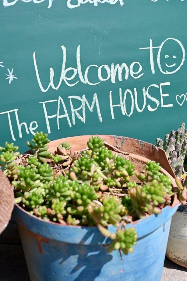The Farmhouse Boutique Guesthouse And Beergarden Cc Outjo Extérieur photo