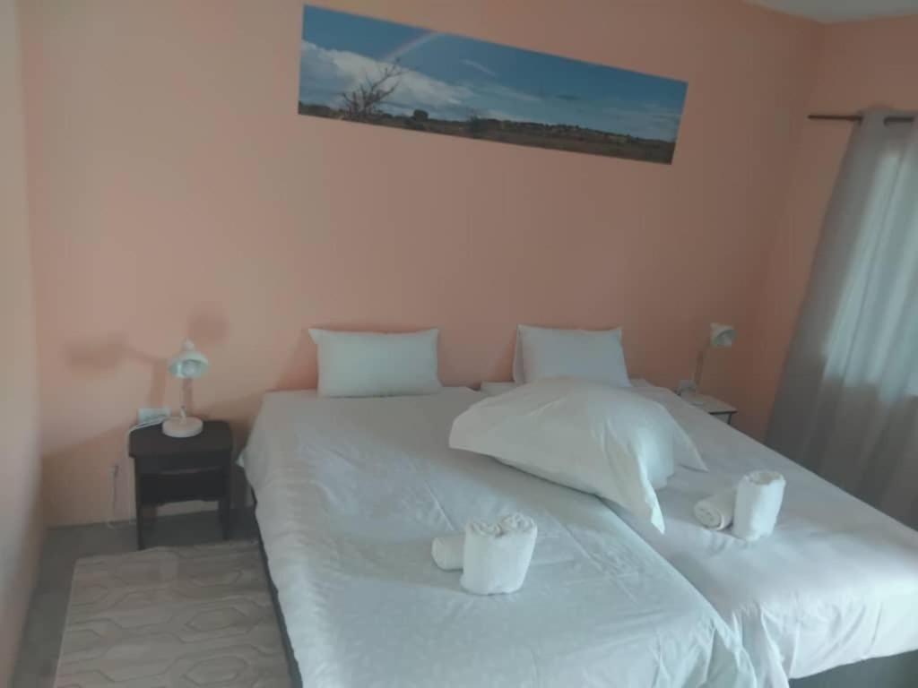The Farmhouse Boutique Guesthouse And Beergarden Cc Outjo Extérieur photo
